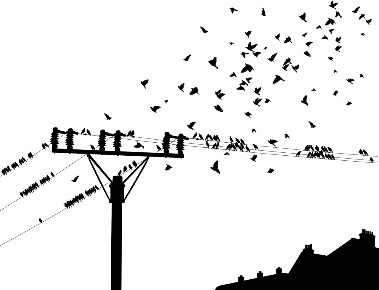 圖像顯示技術(shù)，從基礎(chǔ)概念到前沿技術(shù)的全面解析