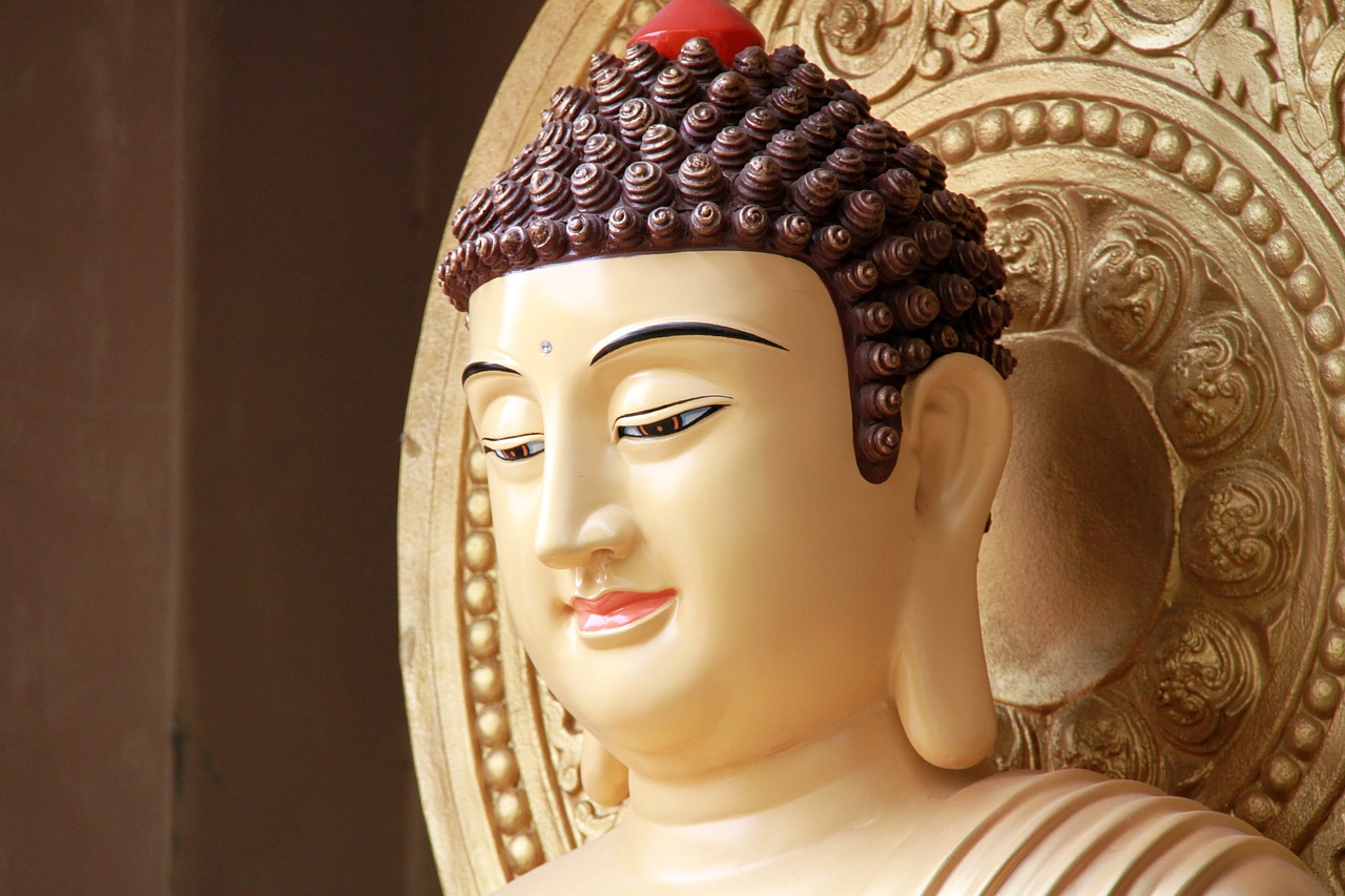 中國黃金欒，金色傳奇的閃耀之路
