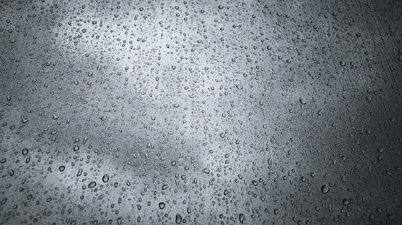 天氣預(yù)報(bào)與細(xì)雨的微妙交織
