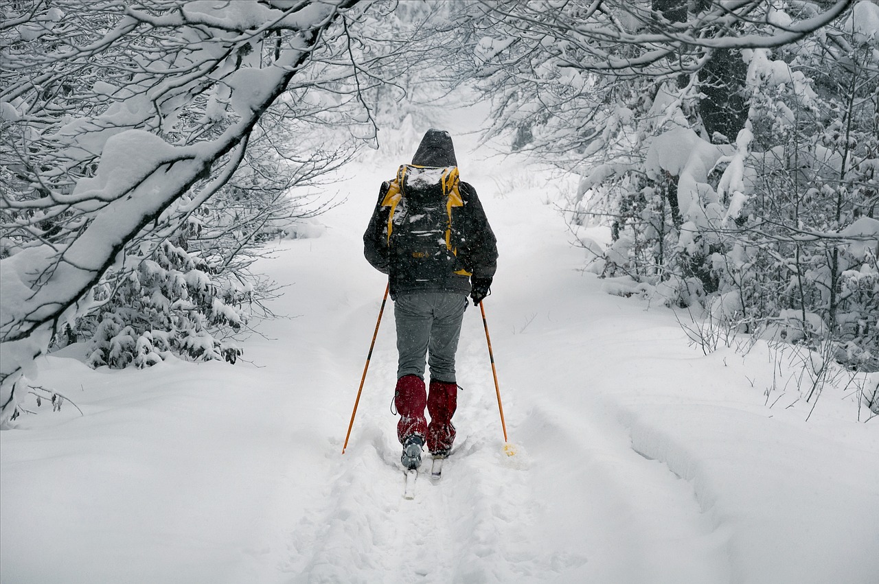 四川遭遇罕見暴雪，應(yīng)對挑戰(zhàn)的關(guān)鍵措施與策略分析