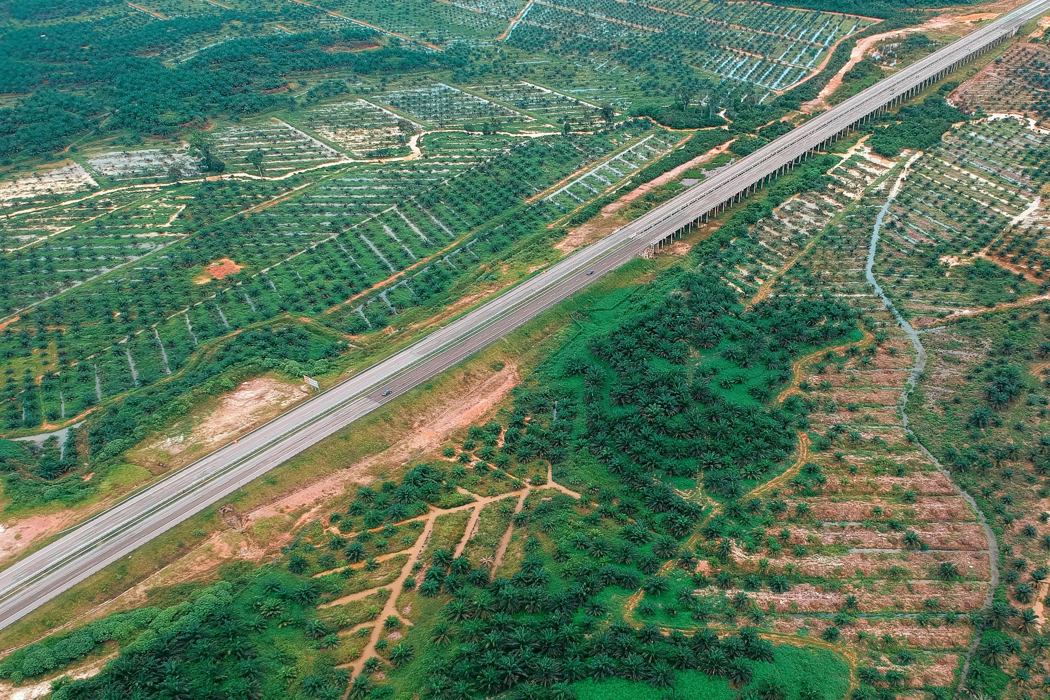 臨西七路探尋記，揭開(kāi)臨沂重要道路的神秘面紗