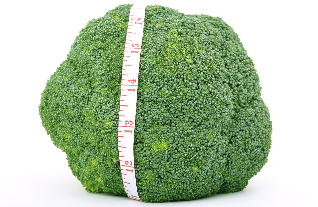 蔬菜棚降溫策略與方法探討，實現快速降溫的有效措施