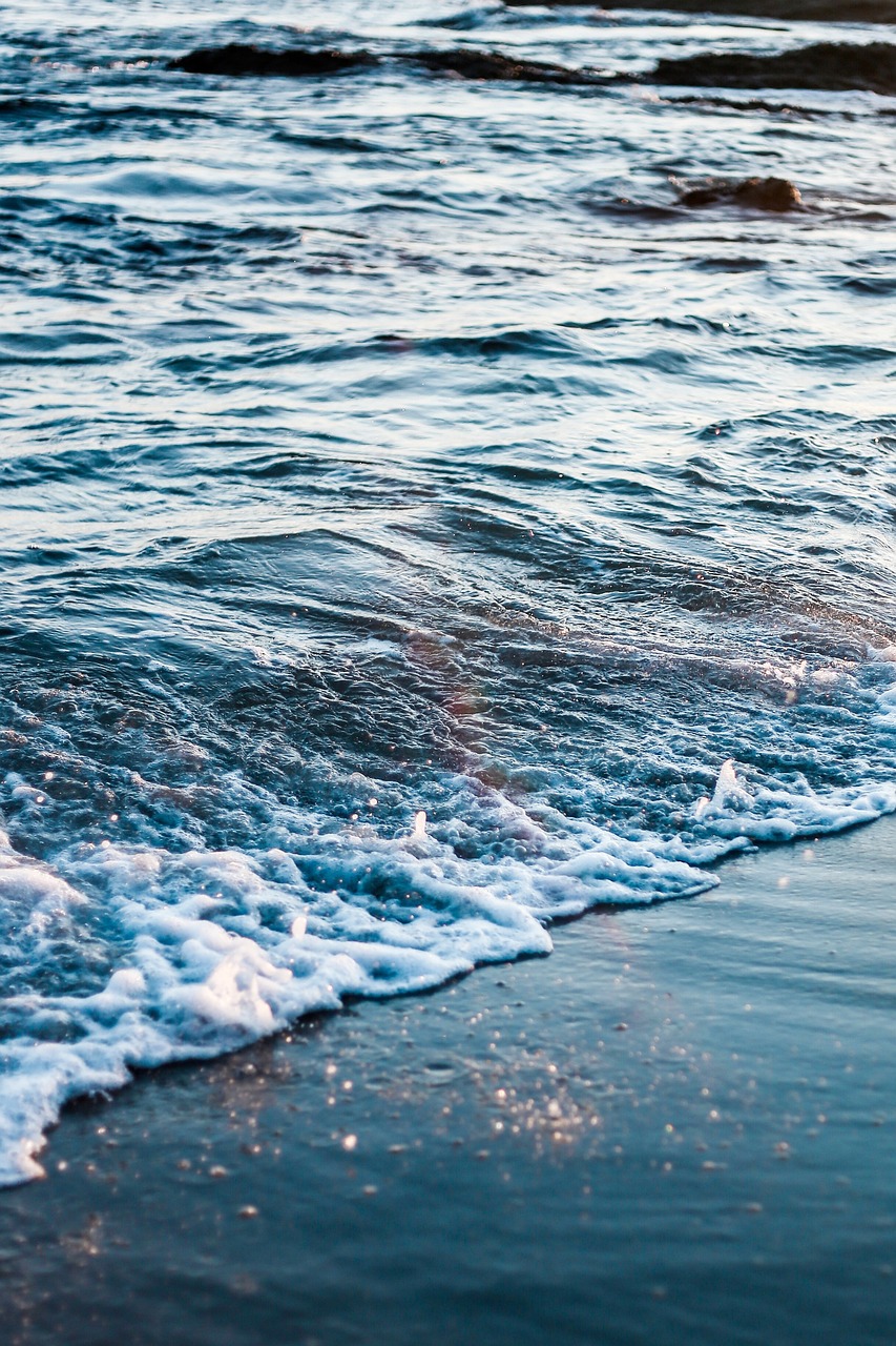 探尋海洋奧秘，領略大海魅力